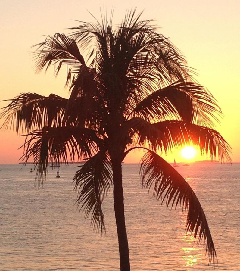 Family, Couples Retreat Near Airport, Cruise Port & Beaches Fort Lauderdale Ngoại thất bức ảnh